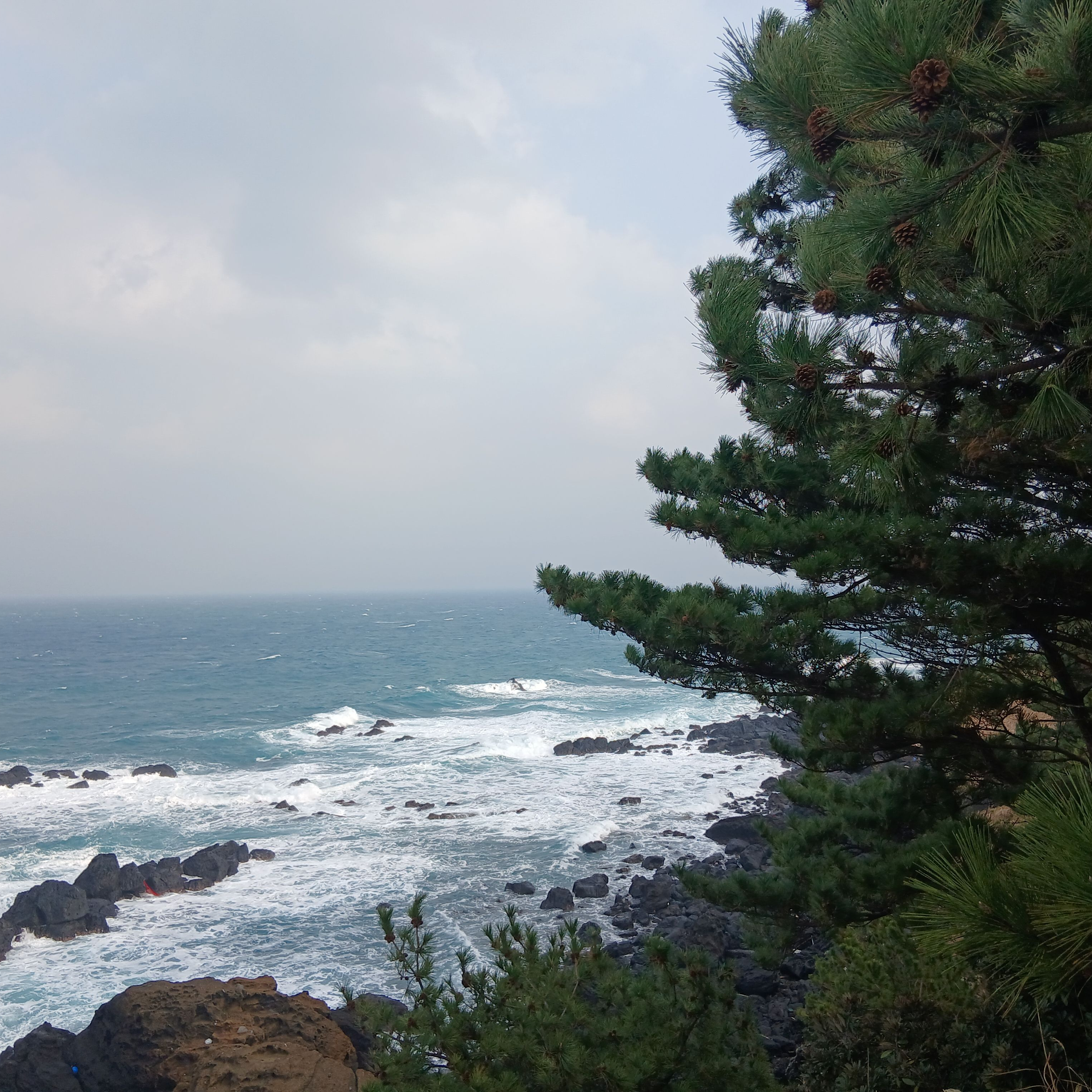 이민호 대표 이미지