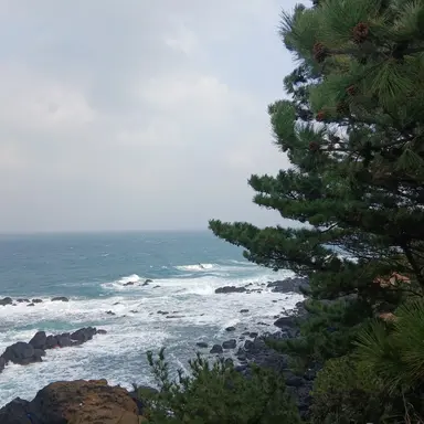 Profile image of 이민호