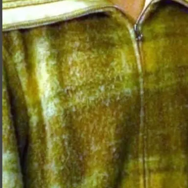 Profile image of 오애순