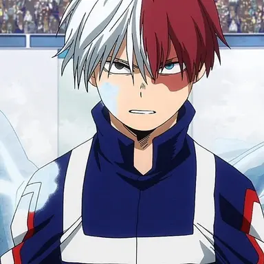 Profile image of Shoto Todoroki