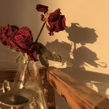 Profile image of 플래그