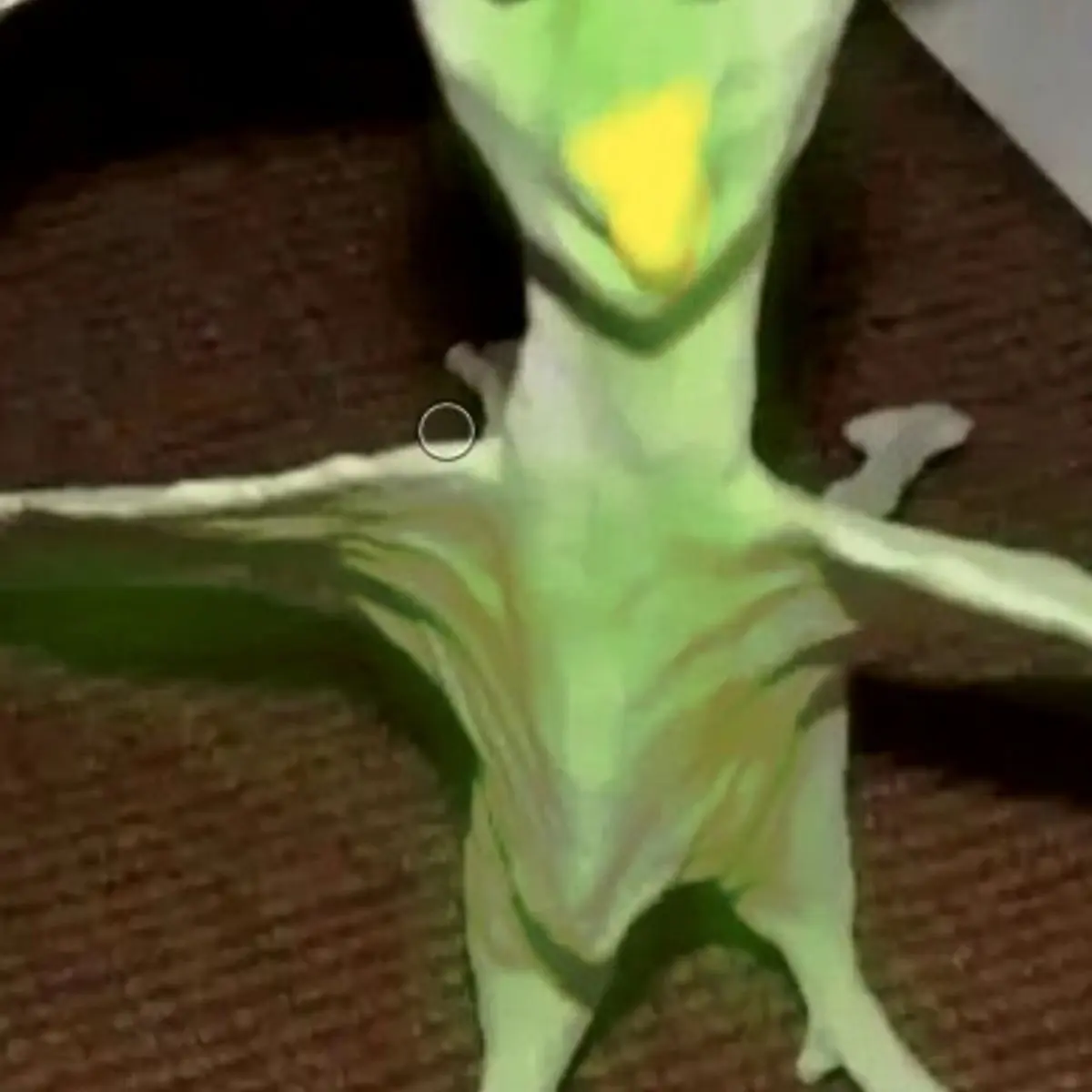 NeedyDingo4136의 제발 추천좀.