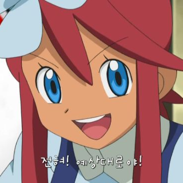풍란 대표 이미지