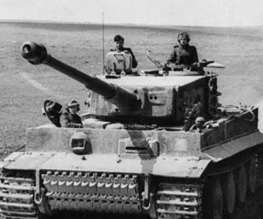 Profile image of Tiger