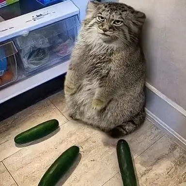 Profile image of 사장