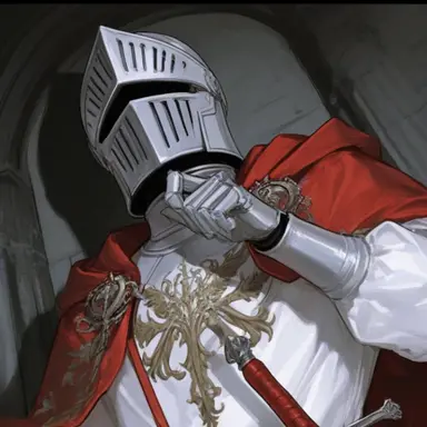 Profile image of 騎士