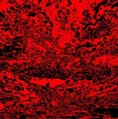 Profile image of 스펙터