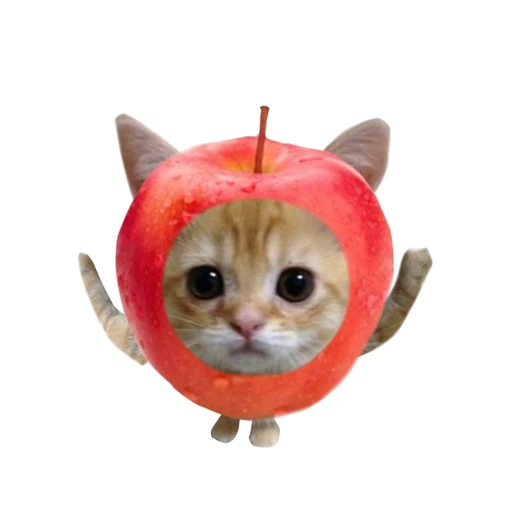 사과캣