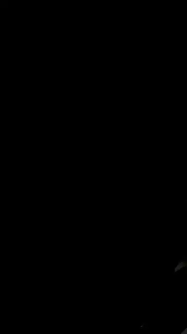 Profile image of Alessio