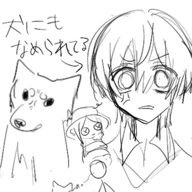 Profile image of のT