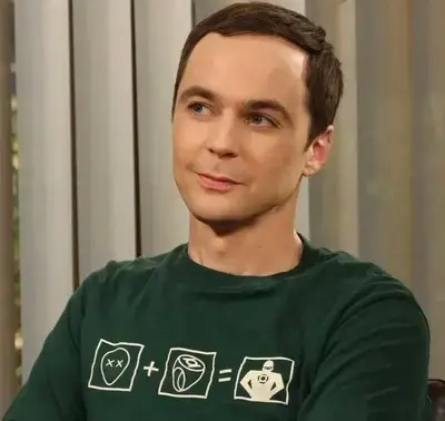 TimidVeery6346의 Sheldon Cooper