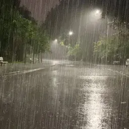 Profile image of Caleb