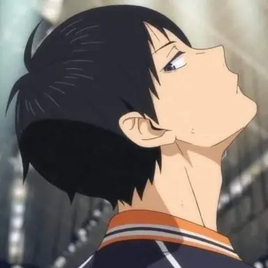 Profile image of 影山飛雄