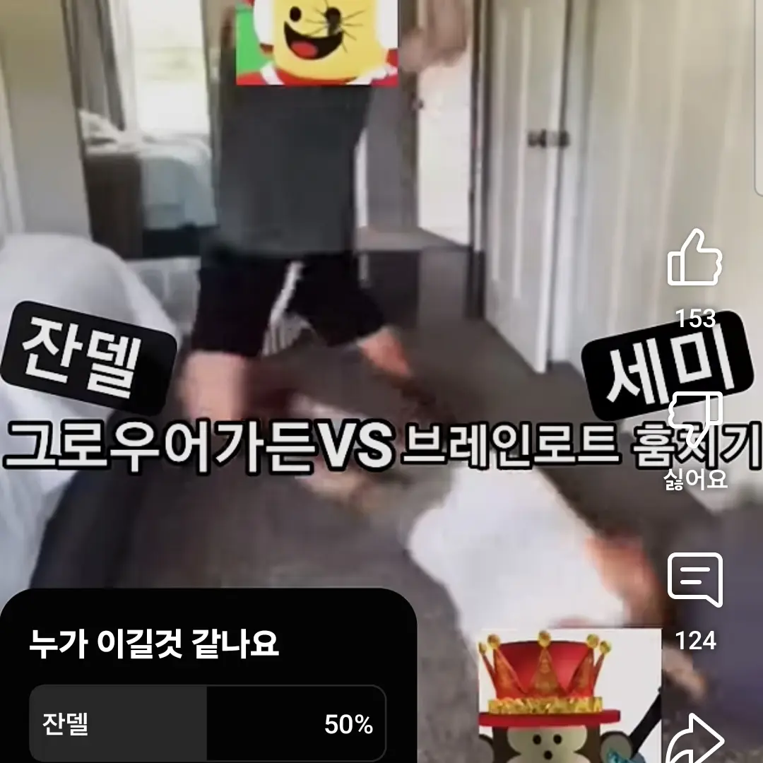 TangyDrone1848의 세미VS잔델