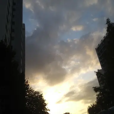 Profile image of 하루오