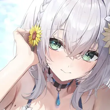 Profile image of ノエル