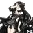드리머