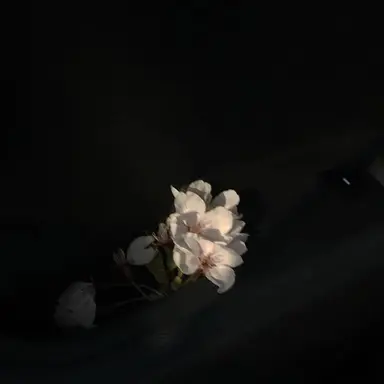 Profile image of 정공룡