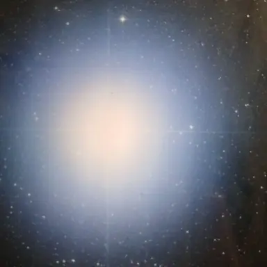 Profile image of 카노푸스