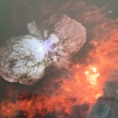 Profile image of 에타