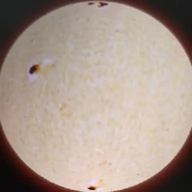 Profile image of 폴록스