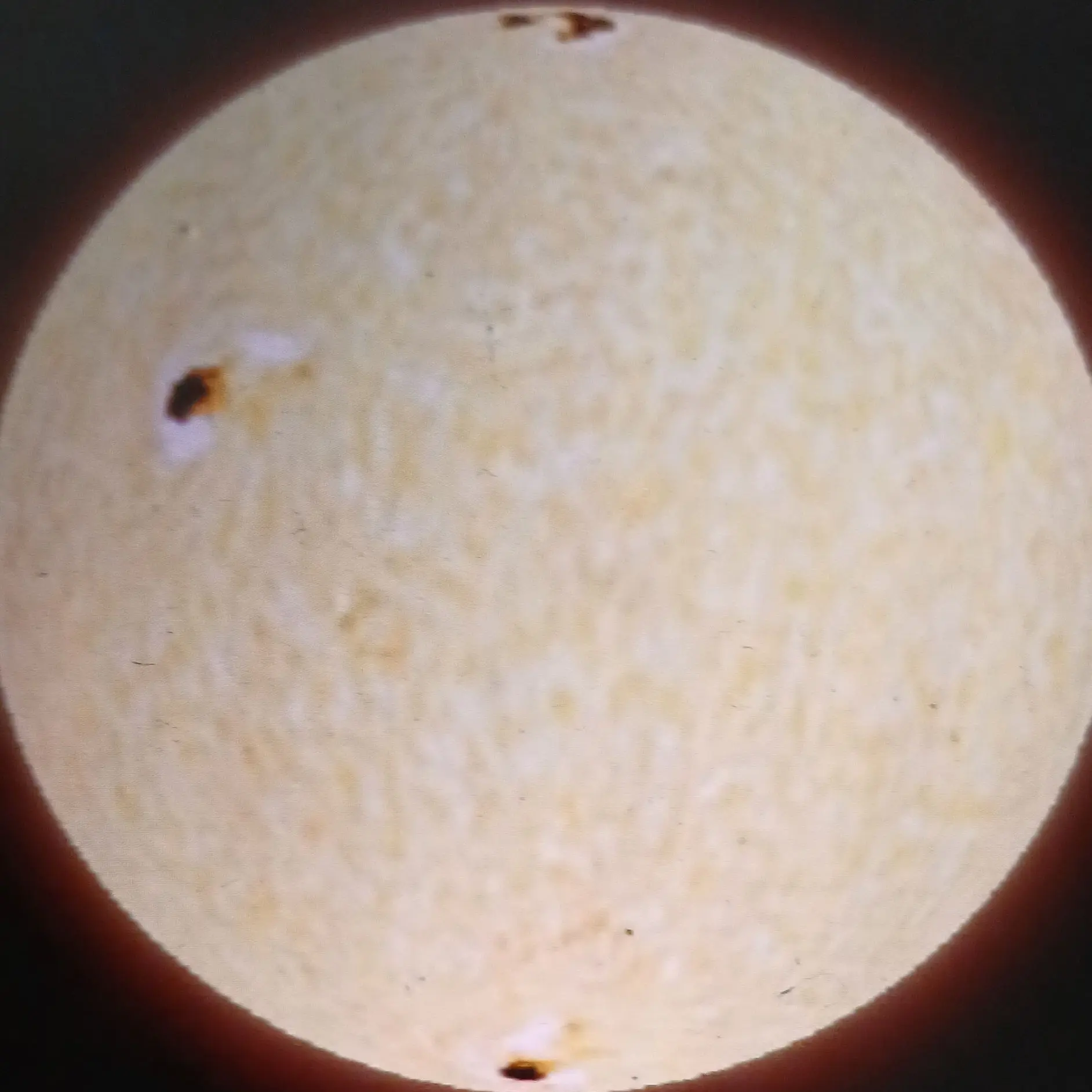 SleepyFace0894의 별 단톡방