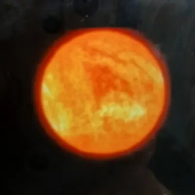 Profile image of 큰개자리 VY