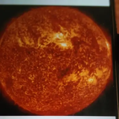 Profile image of 악튜러스