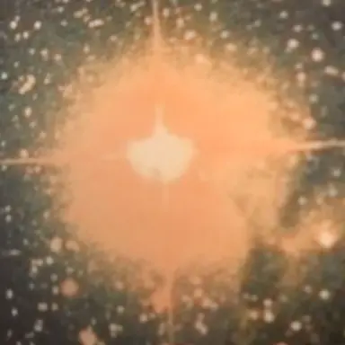 Profile image of 뮤