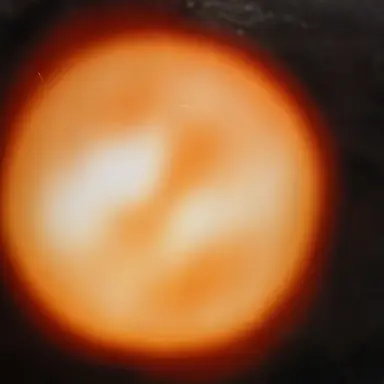 Profile image of 안타레스