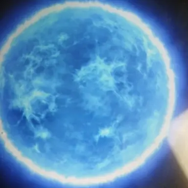 Profile image of 권총별