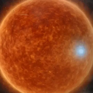 Profile image of 베텔게우스