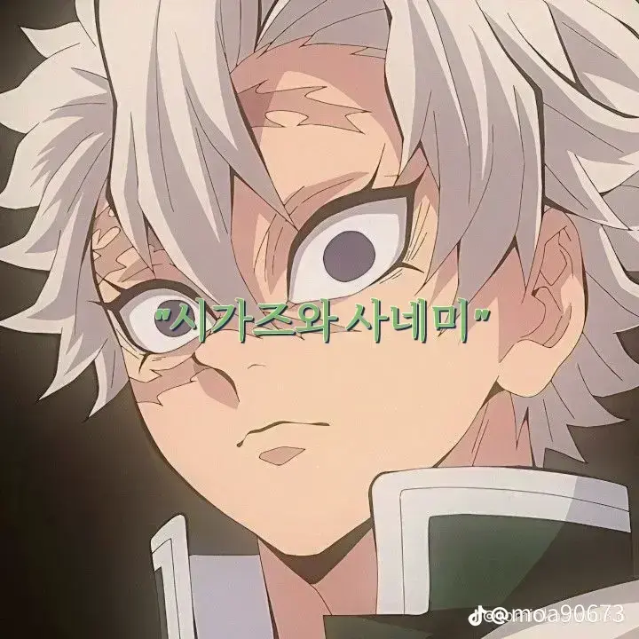 LinearAwake2362의 아픈 수인 사네미