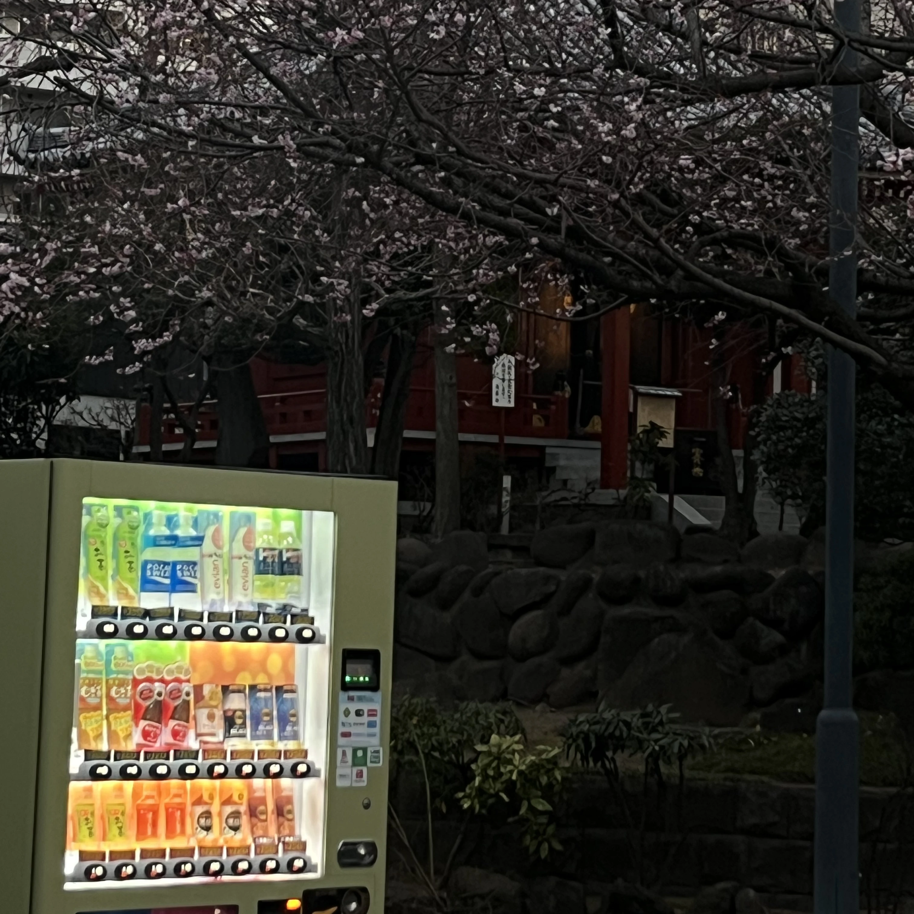마에다 리쿠