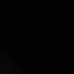 Profile image of 안재효