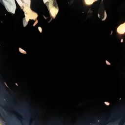 PINKWOOD의 계급사회