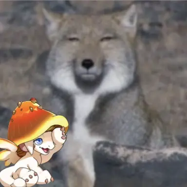 Profile image of 늑대