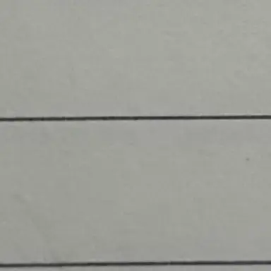 Profile image of 라이너 브라운