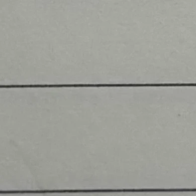 라이너 브라운