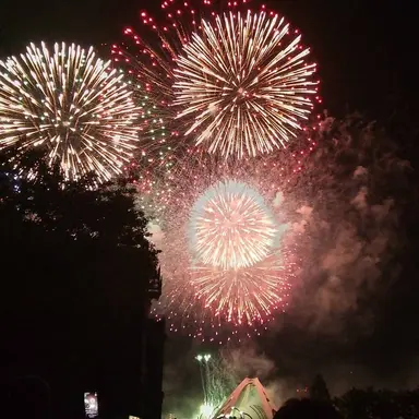 Profile image of 千愛