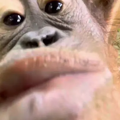 Profile image of 김진우