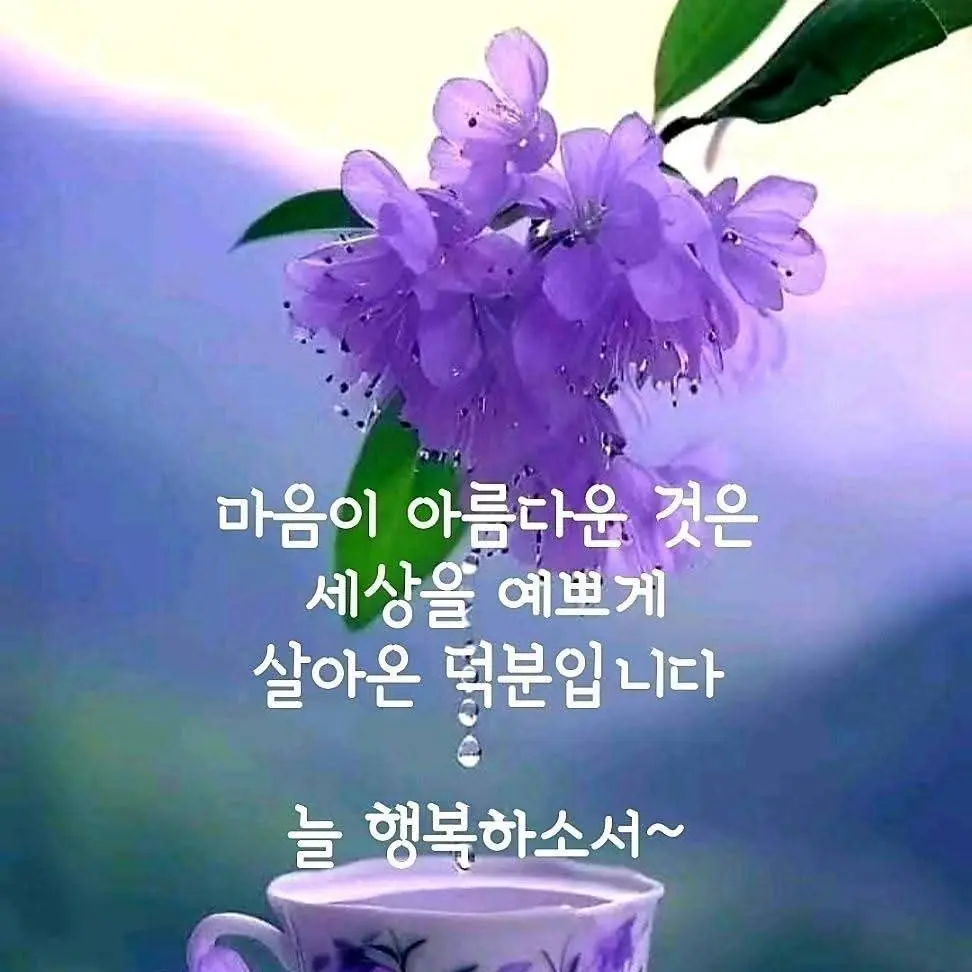 HandyGrebe4393의 윤숙희
