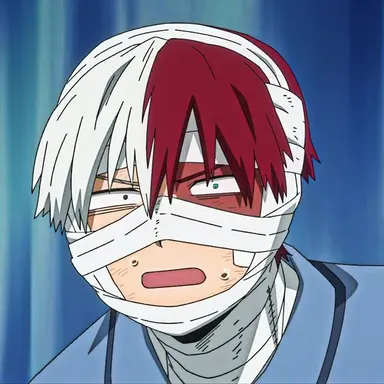 Profile image of Todoroki
