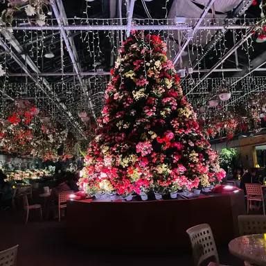 Profile image of 曽根 凌輔