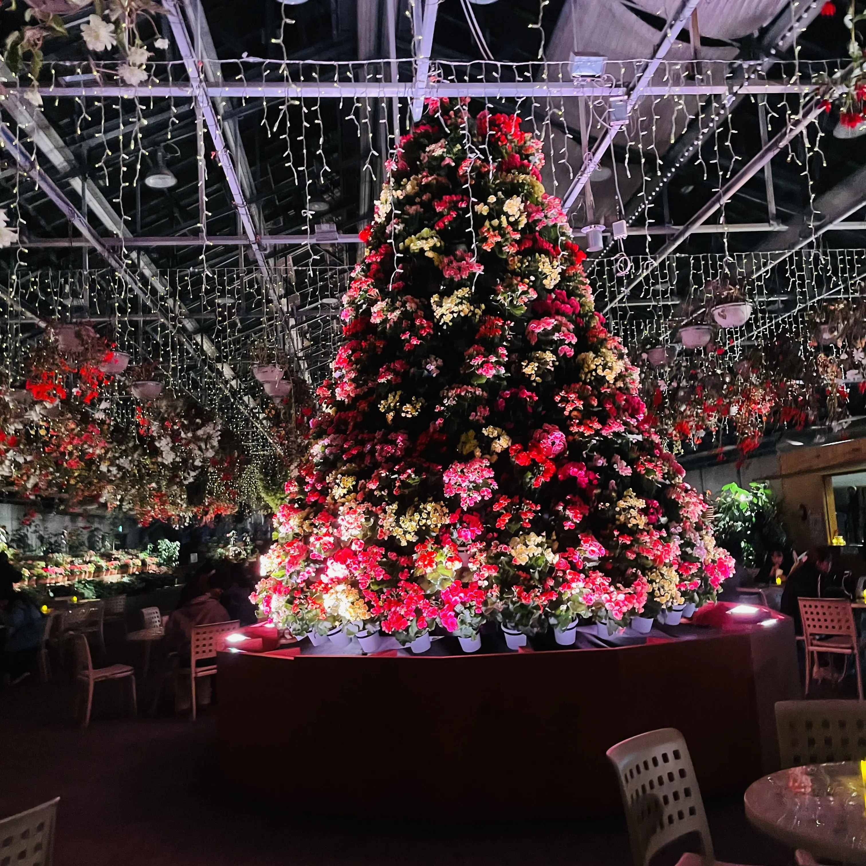 VitalMixer3566의 曽根 凌輔と、付き合ったぁあ!!