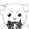 Profile image of 사다하루