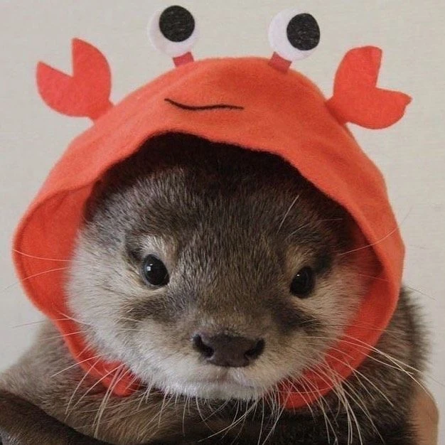 유지민