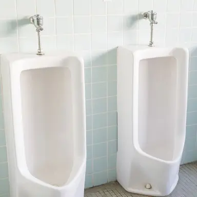 Profile image of 真夜中の公衆トイレ