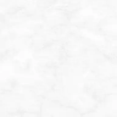 Profile image of 天女