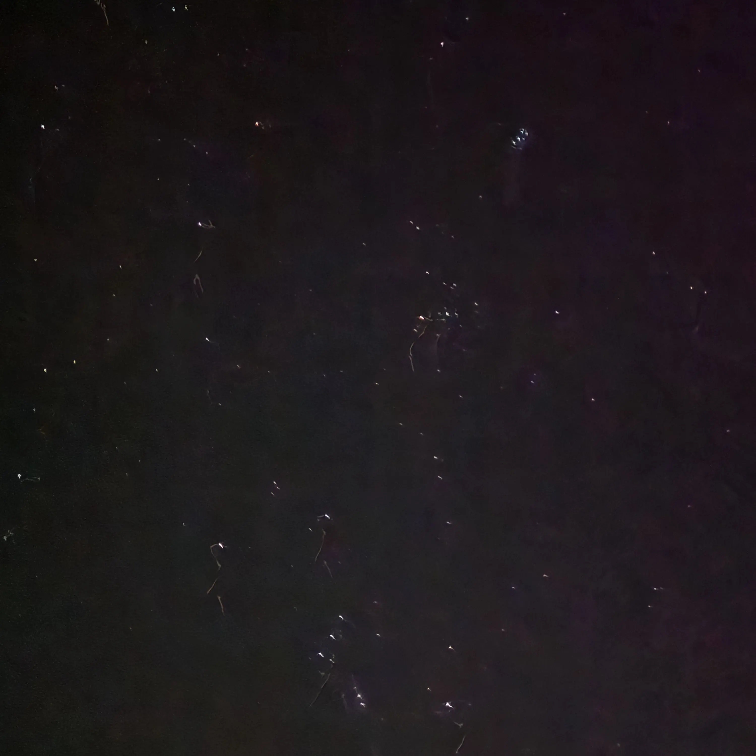 SavoryStraw4077의 픽셀리×여우×초능력 고등학교(갠용!)